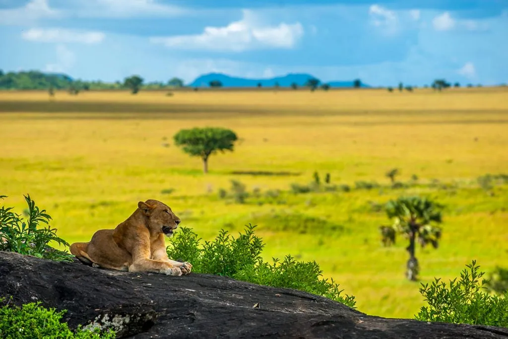 Kidepo Valley National Park